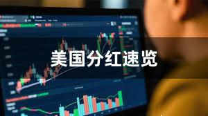 美国分红速览